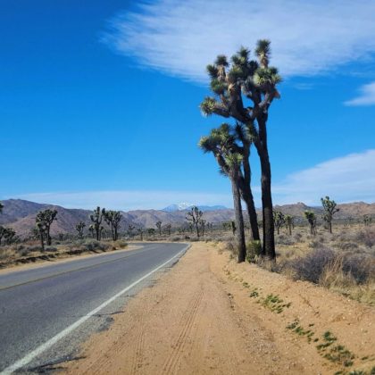 20160217_111614-1-scaled