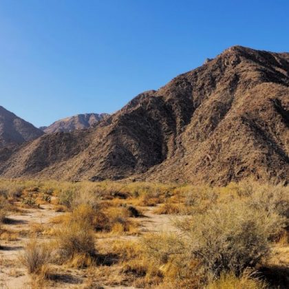 20190930_160254-scaled