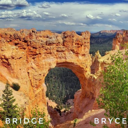 20200626_164302_000-02-scaled