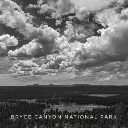 Bryce-Canyon-Trees-B-_-W-square-01